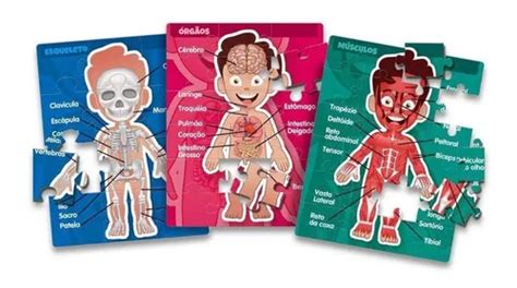 Puzzle Progresivo Del Cuerpo Humano Con 3 Toia MercadoLibre