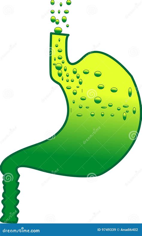 Stomach Acidity Stock Vector Illustration Of Hyperacidity