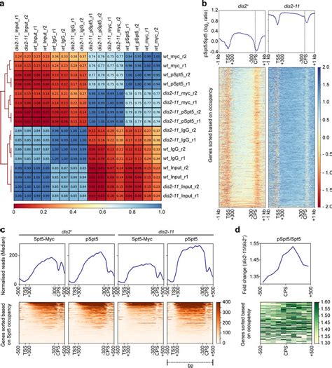 Spt And Pspt Chipseq Analysis A Correlation Between Chipseq