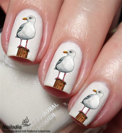 Seagull Bird Nail Art Sticker Decal By Nailodia