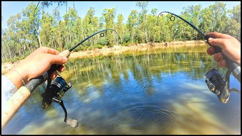 Murray River Fishing With Bait Youtube