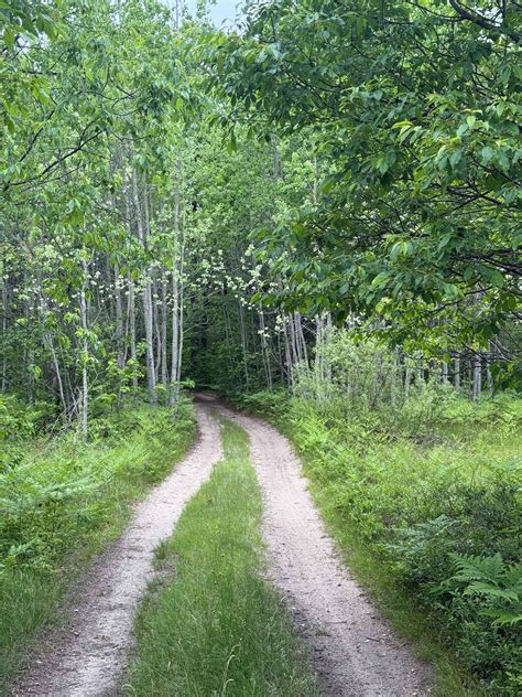 Kalkaska North Mountain Bike Trail, Michigan - GPS Trail Map