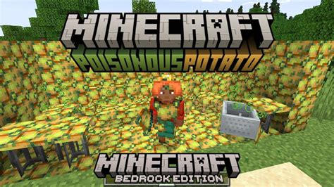 How To Play Minecraft Poisonous Potato Update In Bedrock Minecraft