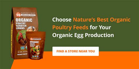 What Are Organic Eggs Nature S Best Organic Feeds