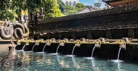 Ubud Balinese Ritual Purification And Ubud Tour Getyourguide