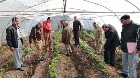 صحيفة روز اليوسف الصوب الزراعية مـستقبل الأمن الغذائى فى مصر