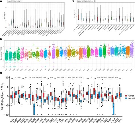 Frontiers Systematic Pan Cancer Analysis Of The Potential Tumor