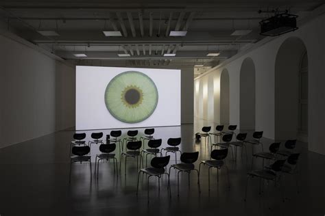 Ulla Wiggen At Fridericianum Kassel Artmap