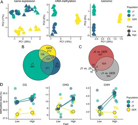 Environmental Response In Gene Expression And DNA Methylation Reveals