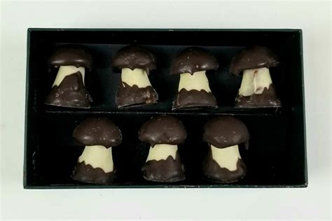 Chocolate Mushroom Candy (Brands and Origins)