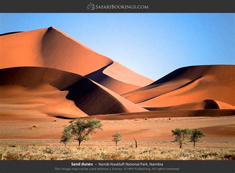 Namib-Naukluft National Park – Travel Guide, Map & More!