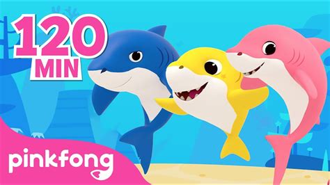 La Danse de la Comptine Bébé Requin Chansons Pinkfong Bébé Requin