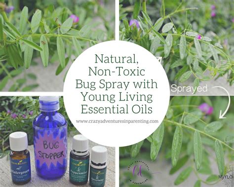 Natural Non Toxic Bug Spray With Young Living Essential Oils