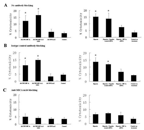 Nk Cell Cytotoxicity Towards Hk 2 Cells Was Measured By Ldh Release