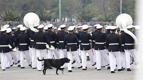 FOTOS Los Momentos Que Marcaron La Parada Militar 2023 En El Parque O