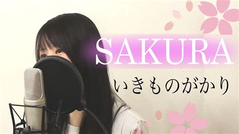 Sakura いきものがかり（フル歌詞付き Covered By Macro Stereo And Elmon） Youtube