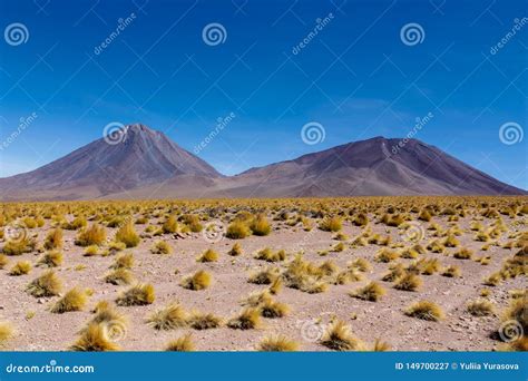 Volcano Licancabur On Chile And Bolivia Border Stock Image Image Of