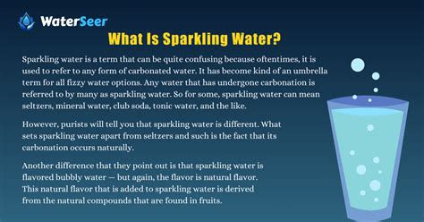 Seltzer Vs Sparkling Water Which Is Healthier