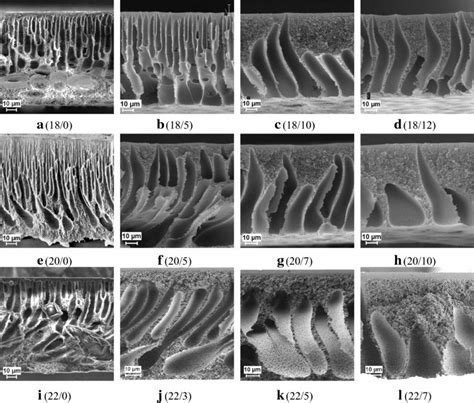 Sem Images Of Psf Pluronic F Membrane Cross Sections A