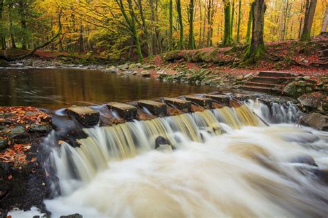 Photo Prints Wall Art Stepping Stones On The Shimna River Tollymore