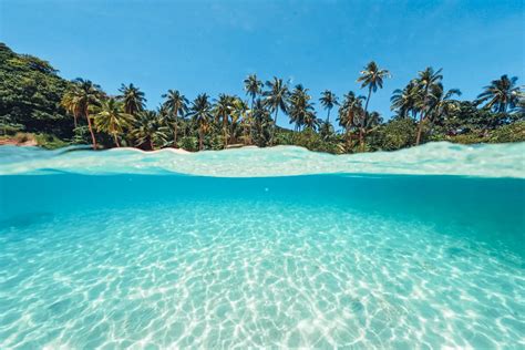 Les paradis perdus de l Océanie Îles cultures et biodiversité à