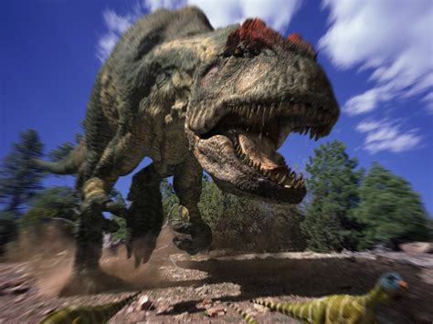 Allosaurus A Walking With Dinosaurs Special 2000