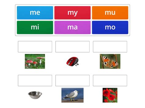 Sylaby ma, me, mi, mo, mu, my - Match up
