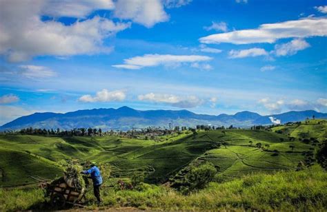 Rekomendasi Tempat Wisata Di Pangalengan Yang Wajib Kamu Kunjungi