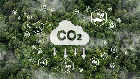 Bonus écologique 2025 tout ce qu il faut savoir Blog