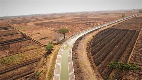 Mengintip Saluran Irigasi Penjaga Hidup 20 Ribu Ha Lahan Pertanian