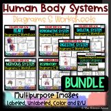 Eye Diagrams Human Eye Images Labeled Unlabeled Sense Organ