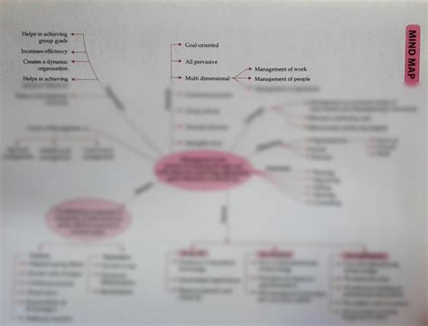 Solution Mind Map Studypool