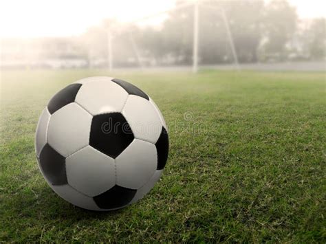 Bola De Futebol Em Um Campo De Futebol Da Grama Sob O Por Do Sol