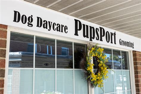 Pupsport Dog Daycare And Grooming Philadelphia Pa 360 Virtual Tour