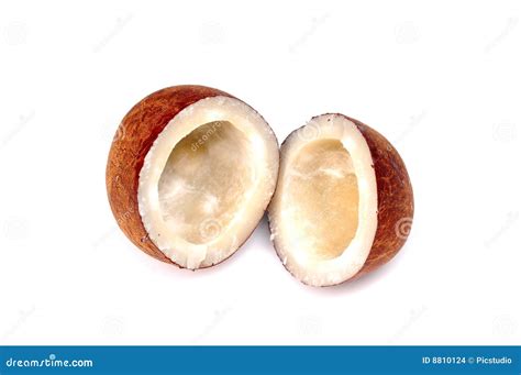 dry coconut stock photo image  isolated health healthy