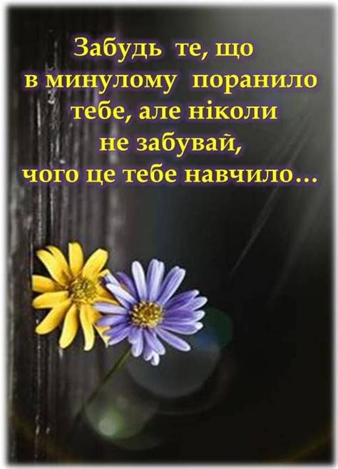 цитати вислови афоризми мотиваційні цитати мудрі слова життя | Bible ...