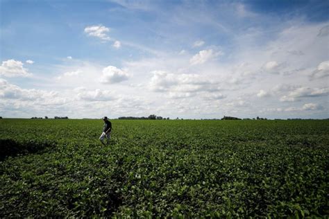 BrasilAgro vende fazenda na Bahia por R 121 9 milhões Forbes