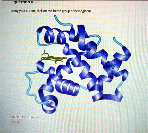 Solved Using Your Cursor Click On The Heme Group Of Hemoglobin Selected Coordinates Clear