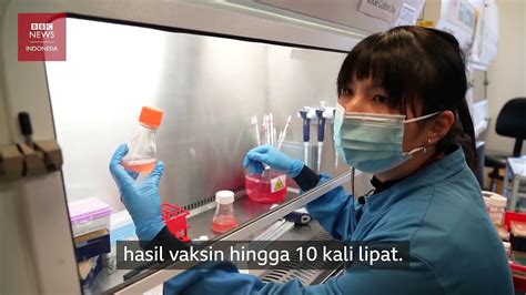 Carina Joe Ilmuwan Indonesia Di Balik Sukses Vaksin Oxford AstraZeneca