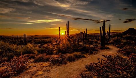 C Mo Pasar Una Luna De Miel En Scottsdale Arizona Planifica Tu Viaje