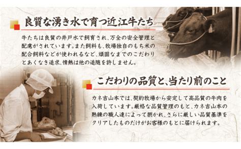 【カネ吉山本】牛肉味噌漬特選近江牛 タル詰め 5～6枚入り【約670g】【y055u】 滋賀県近江八幡市｜ふるさとチョイス ふるさと