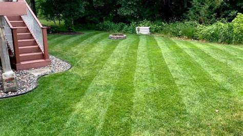 Fielder’s Choice™ Elite Perennial Ryegrass Blend Twin City Seed Company