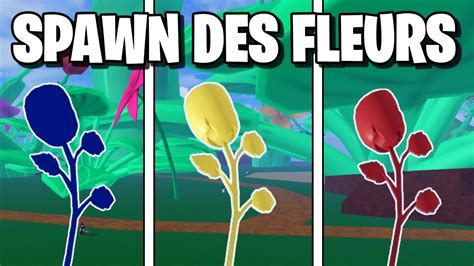 Tous Les Emplacements Des Fleurs Pour La Race V Blox Fruits Youtube