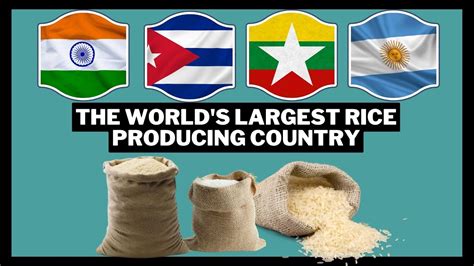 The Top 20 Largest Rice Producing Countries In The World Youtube