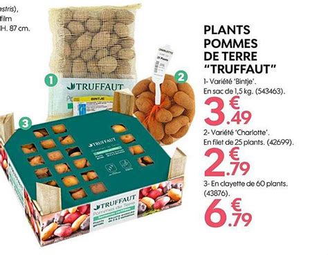 Promo Plants Pommes De Terre Truffaut Chez Truffaut ICatalogue Fr