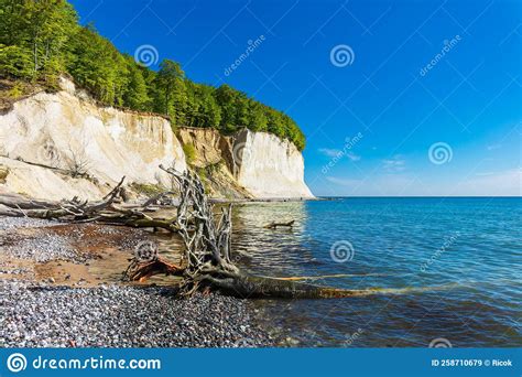 Chalk Cliffs On The Baltic Sea Coast On The Island Ruegen Germany