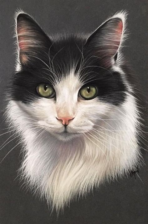 Cat Art Painting Cats Art Drawing Cat Portrait Painting Pastel