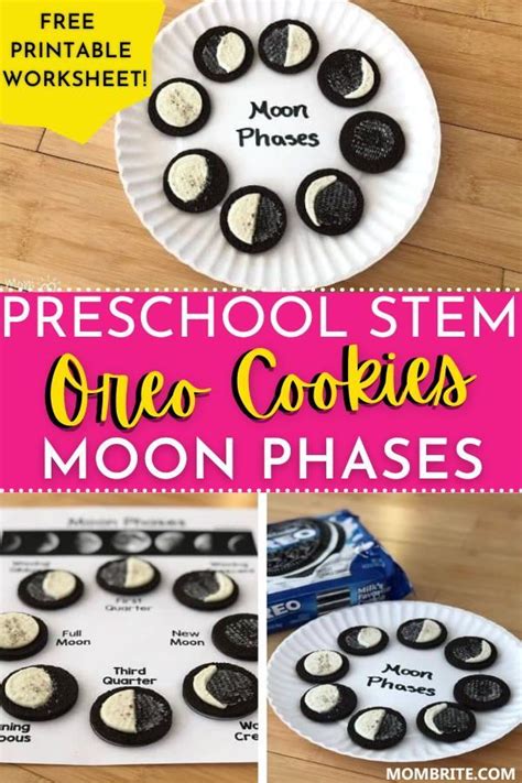 Oreo Cookie Moon Phases Activity Free Worksheet Moon Phases