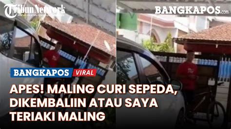 Apes Maling Kepergok Saat Curi Sepeda Pemilik Rumah Mau Diteriaki