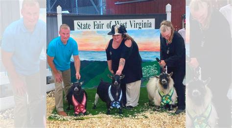 National Pygmy Goat Association Crowns Champions At 2024 Convention